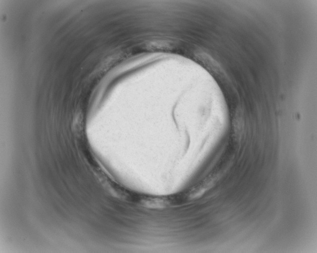 X0000085840079200704132114