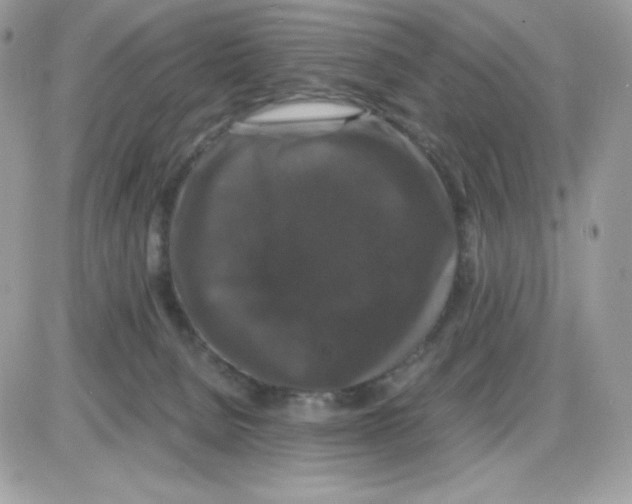 X0000085840080200704132114