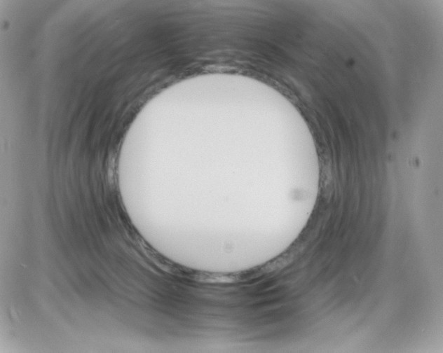 X0000085840081200704132114