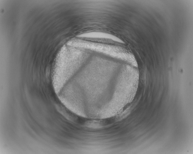 X0000085840082200704132114