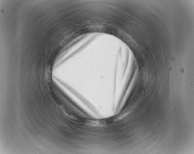 X0000085840083200704132114