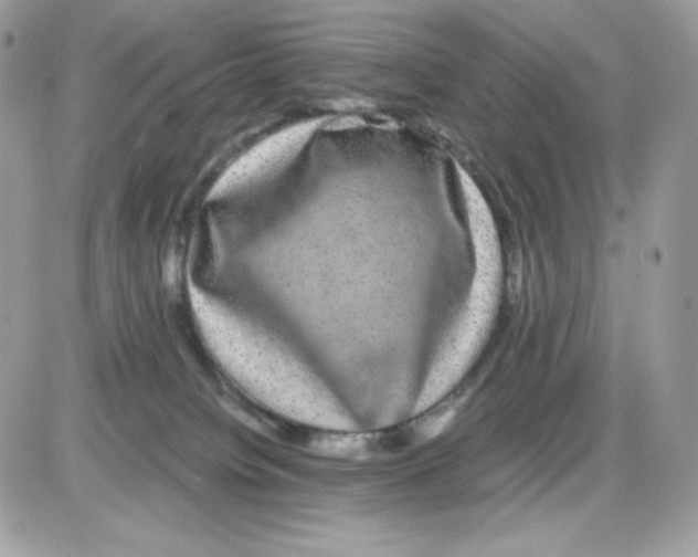 X0000085840084200704132114