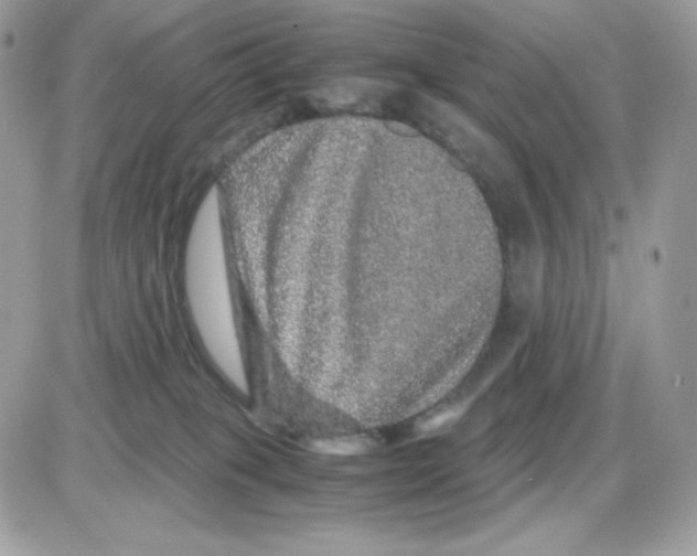 X0000085840085200704132114