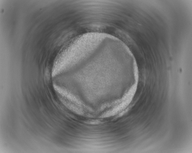 X0000085840086200704132114