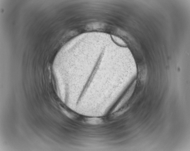 X0000085840087200704132114