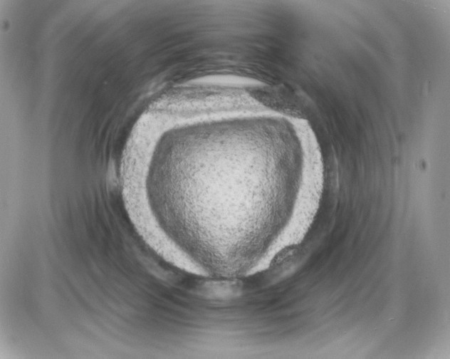 X0000085840089200704132114