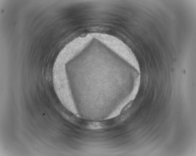 X0000085840091200704132114