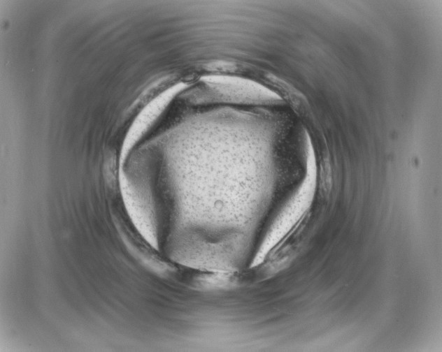 X0000085840092200704132114