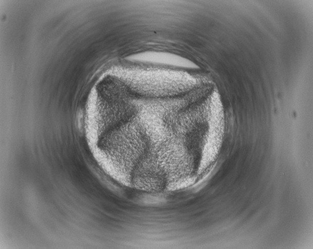 X0000085840094200704132114