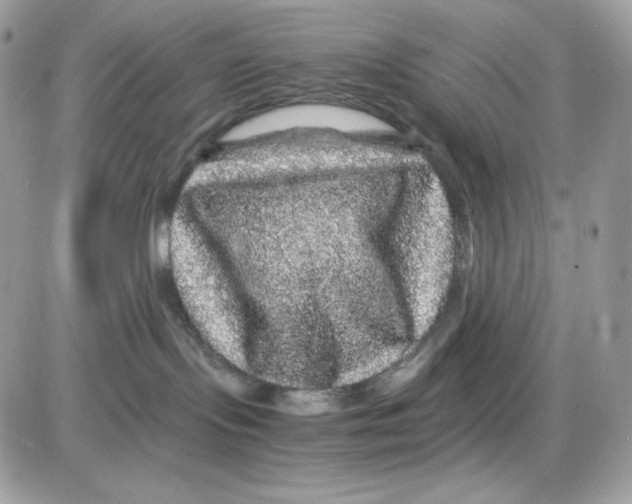 X0000085840095200704132114