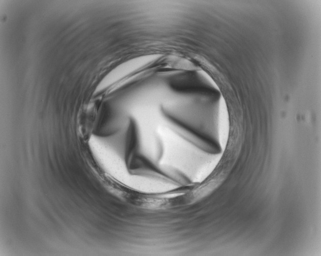 X0000085840096200704132114