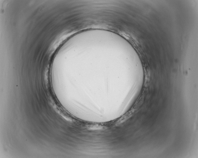 X0000085840098200704132114