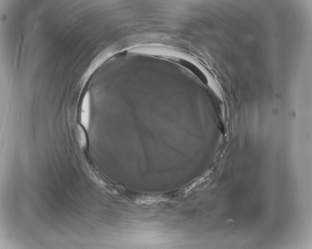 X0000085840099200704132114