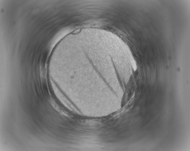 X0000085840100200704132114