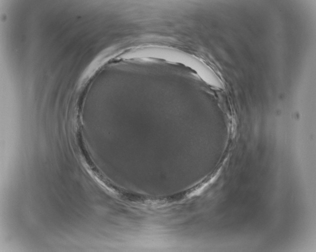 X0000085840101200704132114