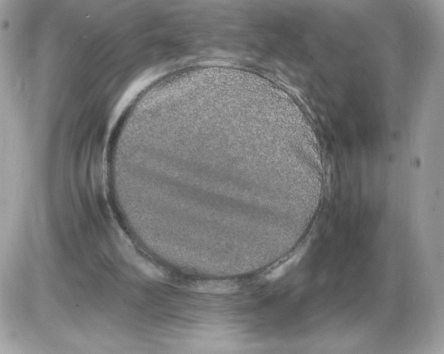 X0000085840102200704132114