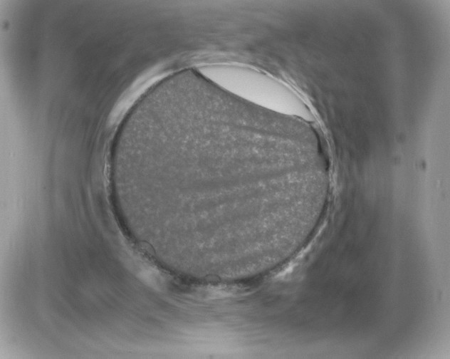 X0000085840103200704132113