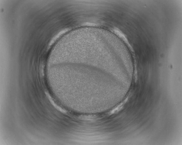 X0000085840106200704132113