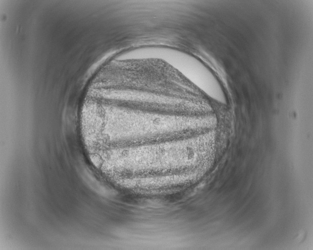 X0000085840107200704132113