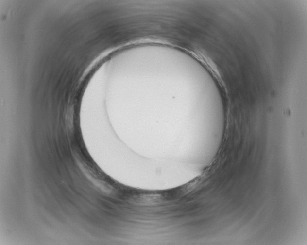 X0000085840108200704132113