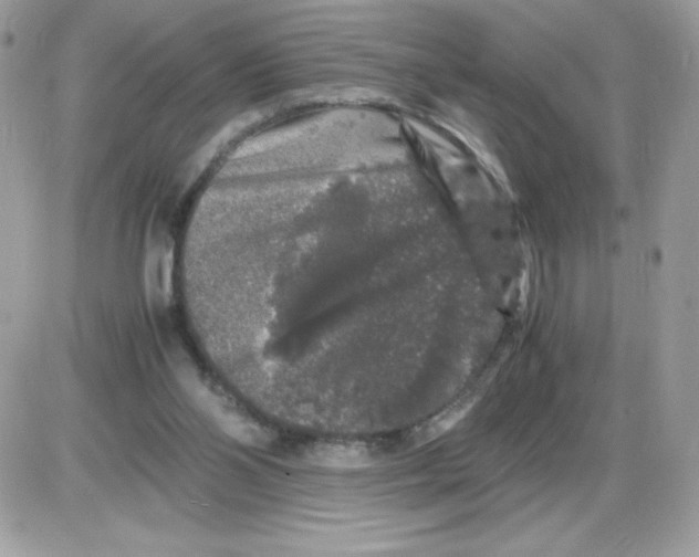 X0000085840110200704132113