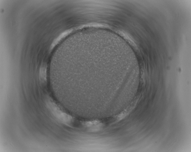 X0000085840112200704132113