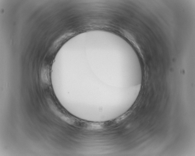 X0000085840114200704132113