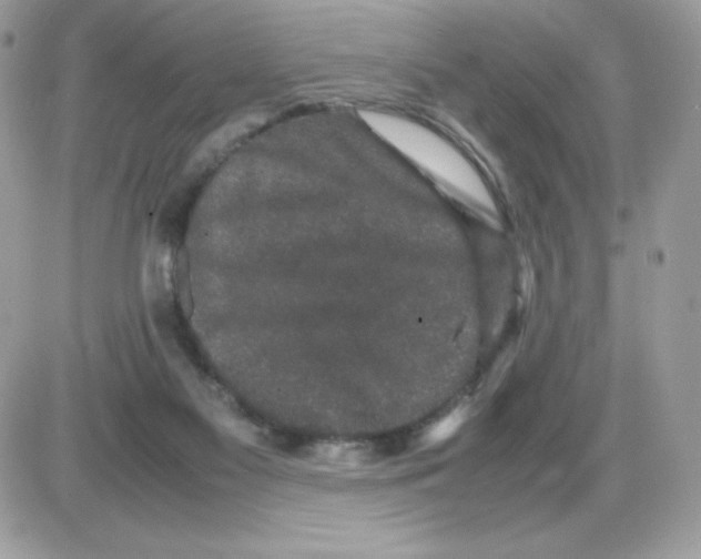 X0000085840117200704132113