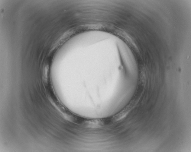 X0000085840118200704132113