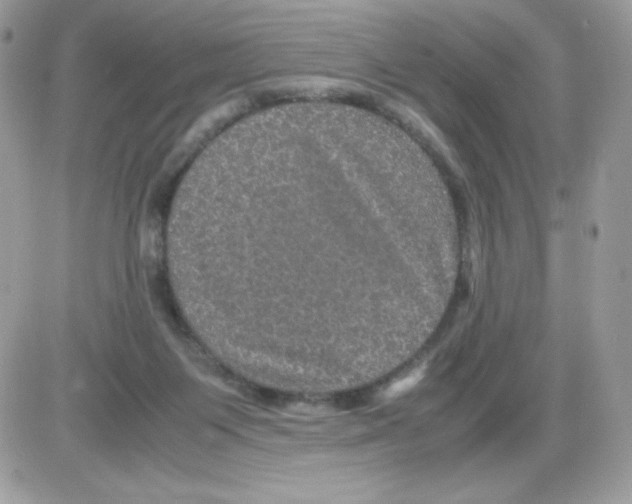 X0000085840119200704132113