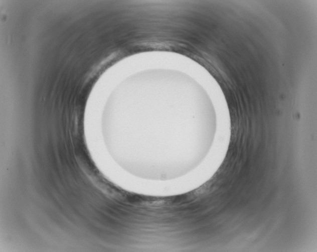 X0000085840120200704132113