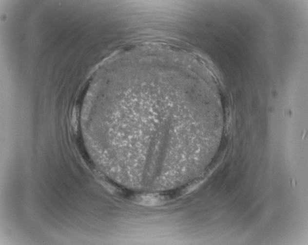 X0000085840121200704132113