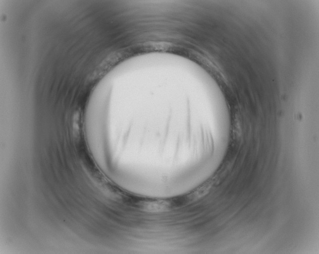 X0000085840122200704132113