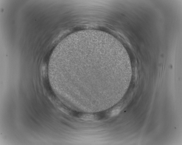 X0000085840123200704132113