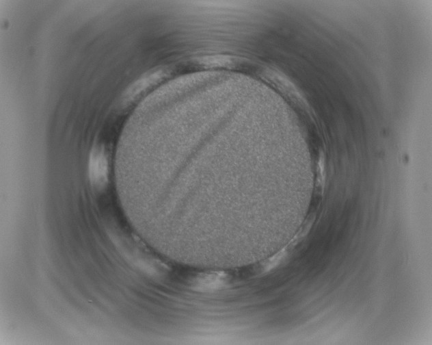 X0000085840124200704132113