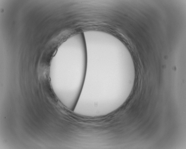 X0000085840125200704132113