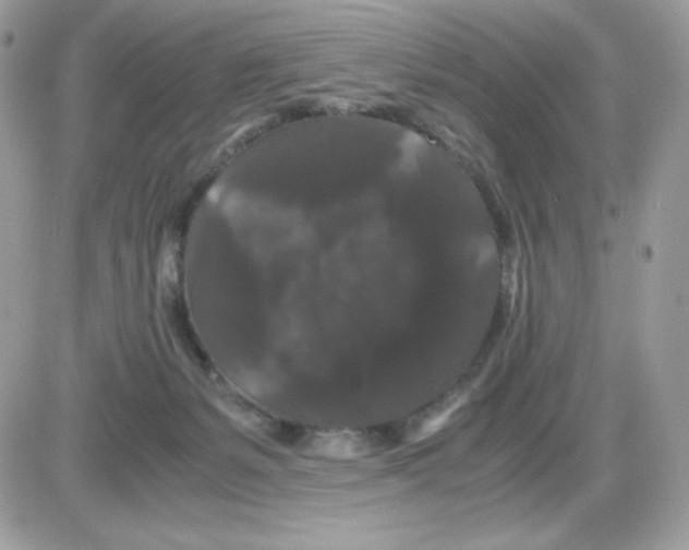 X0000085840127200704132113