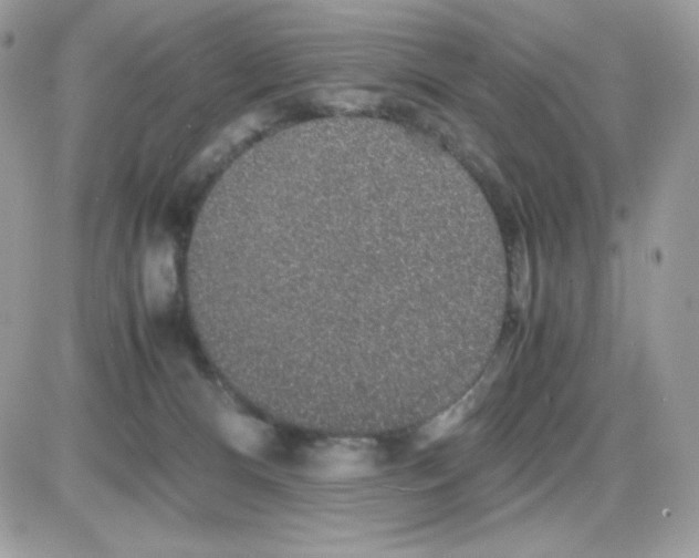 X0000085840128200704132113