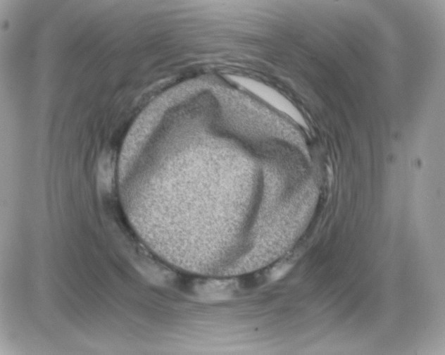 X0000085840129200704132113