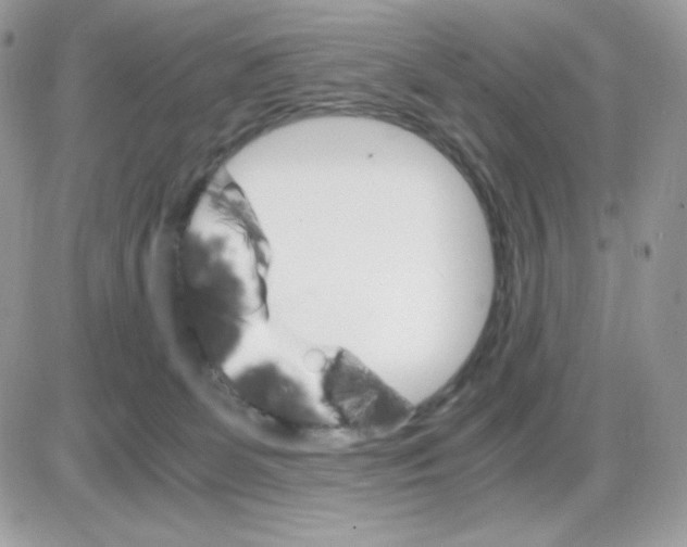 X0000085840131200704132113