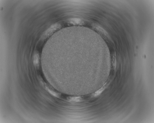 X0000085840132200704132113