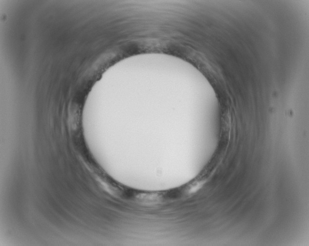 X0000085840133200704132113