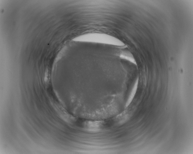 X0000085840134200704132113