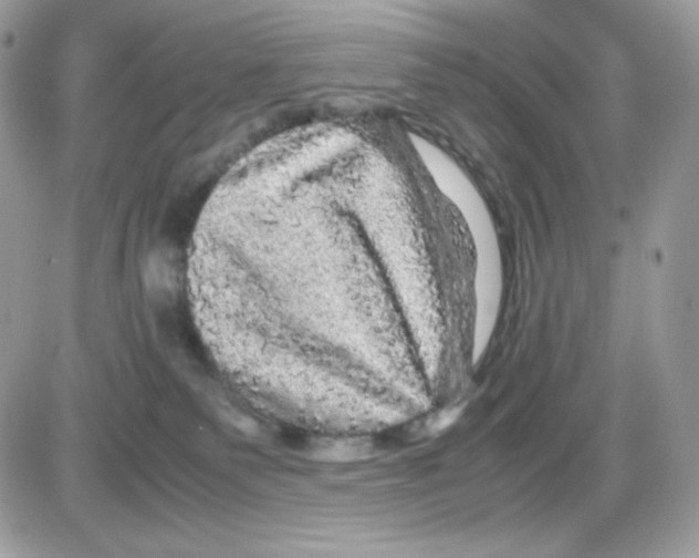 X0000085840135200704132113