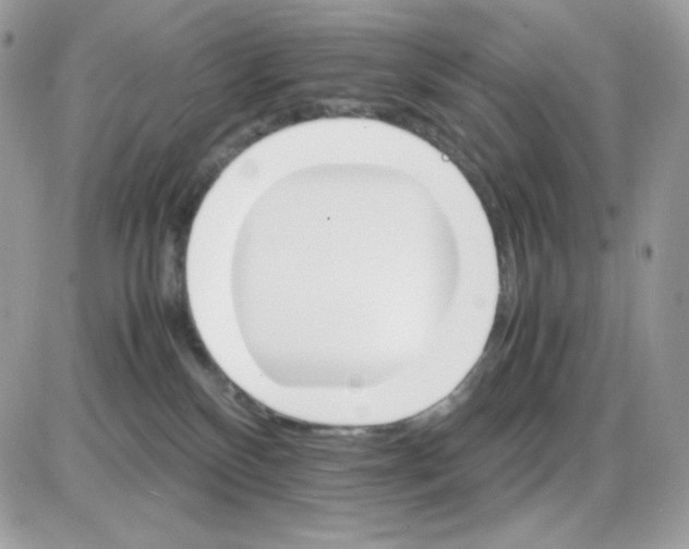 X0000085840136200704132113