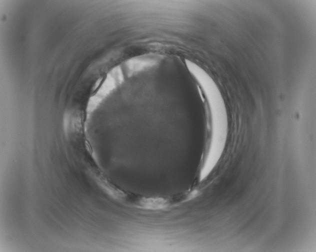 X0000085840137200704132113