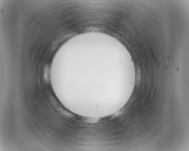 X0000085840138200704132113