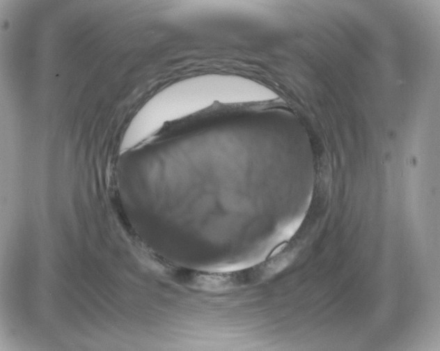 X0000085840139200704132113