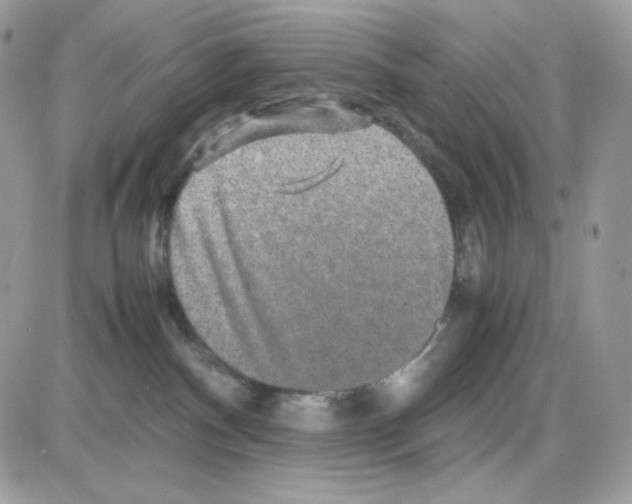 X0000085840140200704132113