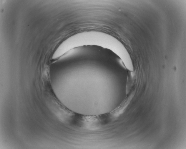 X0000085840141200704132113